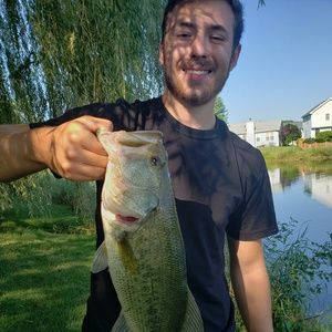 Meet your Posher, Sean